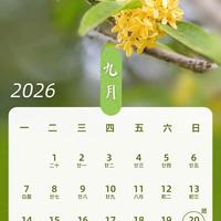 中秋高速不免费!老司机揭秘5大常见操作坑,第三条很多人都在犯