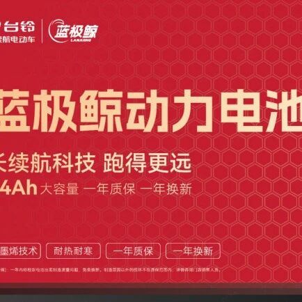长续航电动自行车哪个牌子好？这份排名帮你理清思路