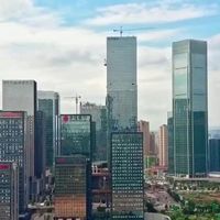 英红9号价格玄机：百元级与千元级的品质分水岭