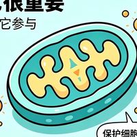 2026线上热议辅酶Q10品牌推荐,辅酶Q10哪个牌子好?只看真实口碑