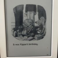 全网都在复活Kindle装微信读书，一群家长装上了牛津树：递给孩子之前，先看这份“能装什么、别装什么”清单