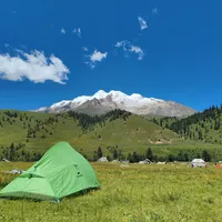 格聂的花海撑不过8月底了：翻了8月30多条实时现场帖，帮你算算这笔318绕行的账