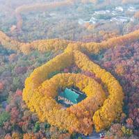 录取通知书还能当门票用：庐山7景区免票、钟山5景点免票、成都27家免票，2026级新生的入学前窗口