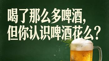 小麦白啤与风味入门 | 精酿啤酒8.18日报