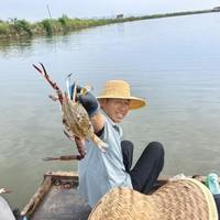 开渔就跌！东海梭子蟹30元/斤随便挑，老手却说再等一周更肥更便宜