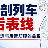 末伏降强度、肩颈腰背科学练 | 运动养生8.18日报