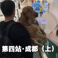 选狗避坑、驱虫与带狗出游 | 养狗8.18日报