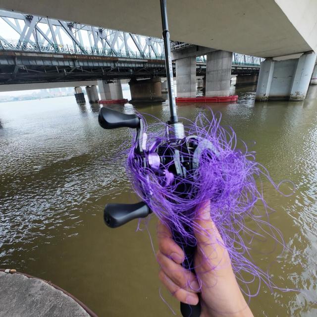 第一颗水滴轮：400元的阿布还是2000元的DC？翻完全网一周讨论，我整理出三档预算清单