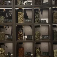 先号脉再点酒,一杯100多:中医酒吧正在上海、杭州、成都、北京开店,“处方特调”值不值?各店真实口碑、价格和避坑点我翻了一遍