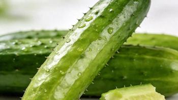 水果黄瓜比普通黄瓜贵1倍，到底值不值？关键看你是生吃还是炒菜