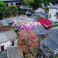 网红打卡地vs现实：你被照骗了多少年