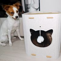 用上了张大妈的毛毡猫窝！