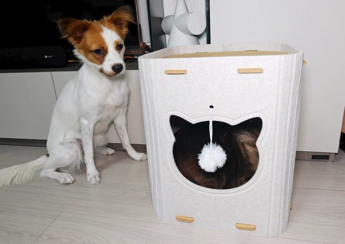 猫狗窝