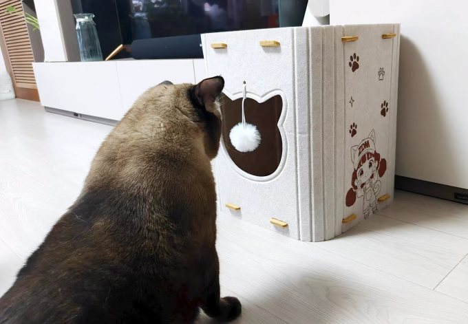 猫狗窝