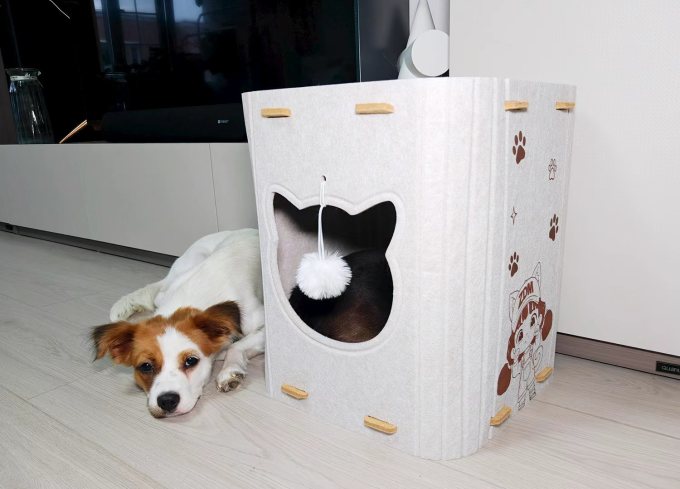 猫狗窝