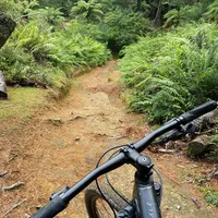 摔到气胸、平路撑手断骨：开始林道骑行前，先把摔车准备的三笔账算清