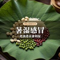 夏天感冒老不好，别再只会捂汗喝姜汤！暑湿感冒和普通感冒处理完全不同