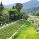 大牌折叠车集体跌到600多，现在买新车比二手还划算，该不该出手？