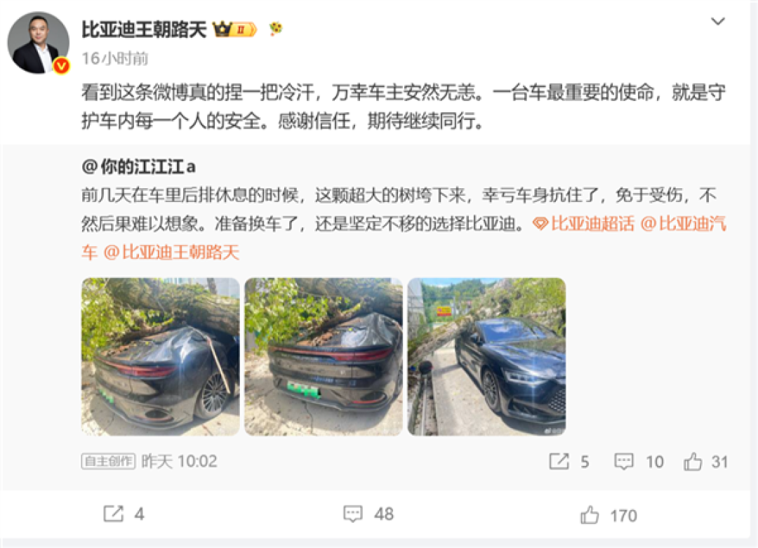 大树轰然压顶 比亚迪汉扛住重压乘员舱完好!车主:换车还选比亚迪