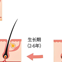 IAMIN，CAS号32999-80-7，促进头发生长多肽