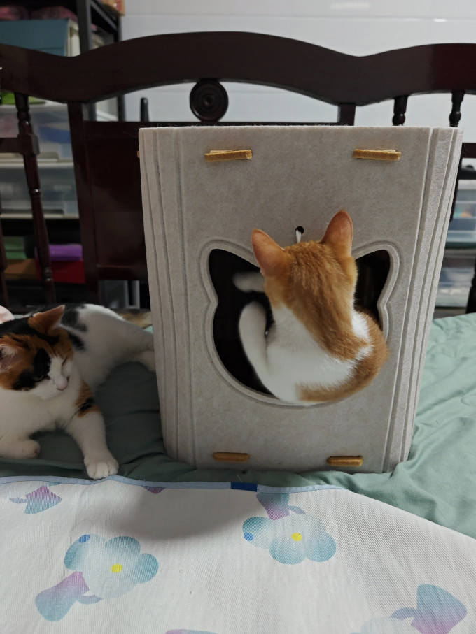 猫狗窝