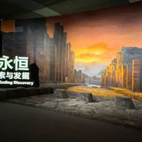 国博庞贝展10月11日闭幕：吵了半年“值不值”，这120元到底替谁省下
