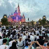 去上海迪士尼，早享卡、尊享卡到底买哪个？我把官方、灰色和"假货"一次理清，花钱前先看这一篇
