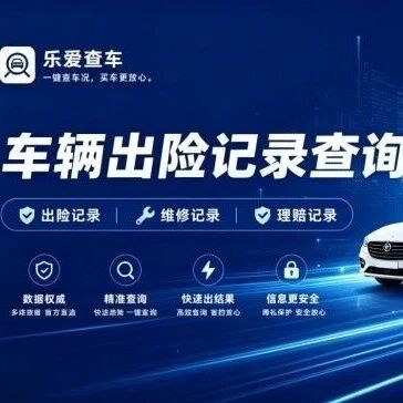 买二手车车辆出险记录能查吗？