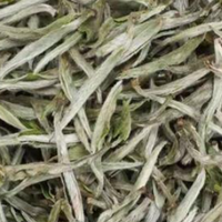 清雅白茶，时光佳茗