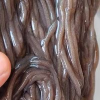 东北人认证！这口玉米面条就是小时候的味道