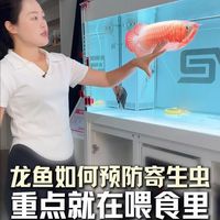 龙鱼如何预防寄生虫?首先寄生虫大部份来源于你的食物