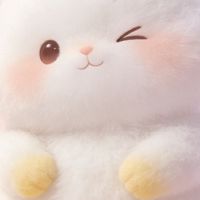 平价与大牌礼盒实测对比