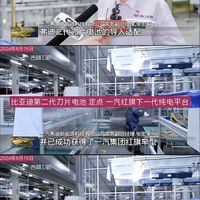 一汽弗迪二代刀片电池定点红旗