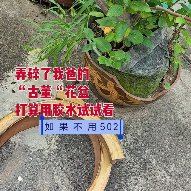 速干胶水，不止🈶502……弄碎了老爸的“古董”花盆