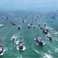 开渔季海鲜大降价！便宜40%还能24小时送达，新鲜南海渔获触手可及