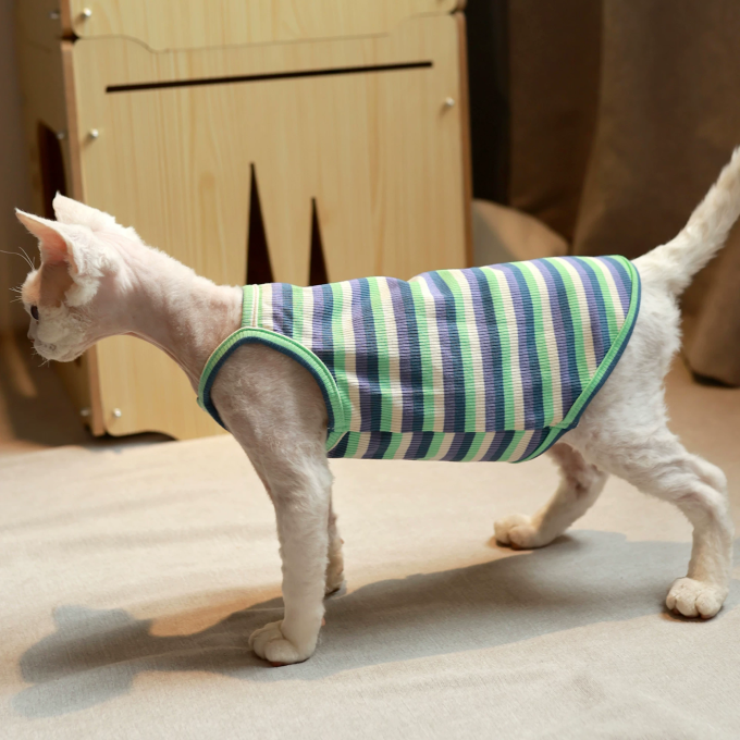 猫粮
