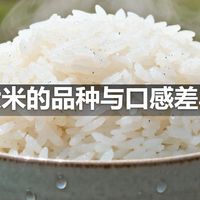 大米的品种与口感差异