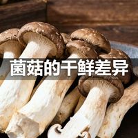 菌菇的干鲜差异
