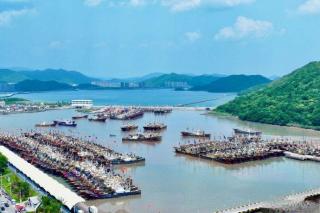 烟台渔船终于出海了！梭子蟹红虾提前两周上岸，价格降幅可能接近一半