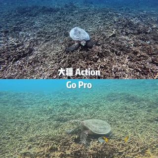 水下拍摄本来是GoPro的主场，现在要带壳、要调色的反而是它：三家比完，三条路给三种人