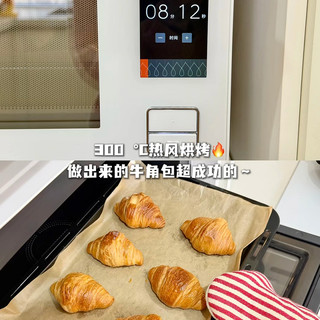 东芝D4000pro把烤牛排变送分题：放进去就不用管，机器自己决定火候走