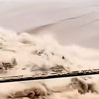 “白海豚”带给河南的降水有多大?低于“尼娜”“烟花”可排第三