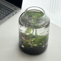 刷屏的"不换水生态缸"：有人两年不换水，有人一夜团灭，翻车帖里全是同一个坑