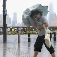 “白海豚”在上海市的降水量多达17亿立方米,仅次于台风“烟花”