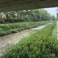 教程全看了依旧空军？8月城市河道微物路亚破龟，先学会找鱼
