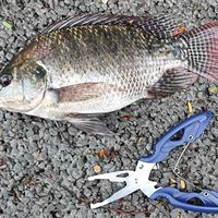 “有钱卡雷多没钱钓之屋”：扒了全网口碑，做一份300-800元钓之屋装备真实选购指南