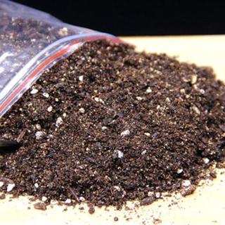 养花新手配土施肥避坑指南：三个常见错误让你的花活不过三个月
