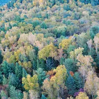大兴安岭等不了，伊春等得到：哈伊高铁试跑2小时02分，小兴安岭秋色峰值正好卡在国庆