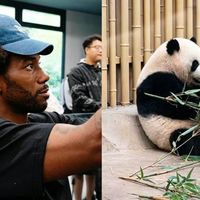 NBA冷面杀手成都看熊猫，蹲围栏举手机反复调整角度，眼睛亮晶晶被治愈了