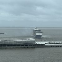 送走白海豚，18号台风又来了：8月被"改"的邮轮有5种结局，8月底9月上船前先做这几件事